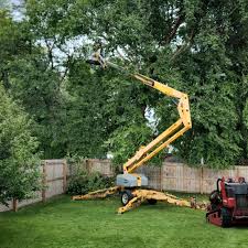 Trusted Mount Ivy, NY Tree Removal and Landscaping Services Experts